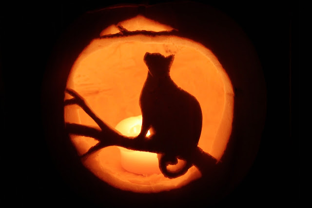 cheshire black grumpy kitty cat jack o lantern pattern stencils